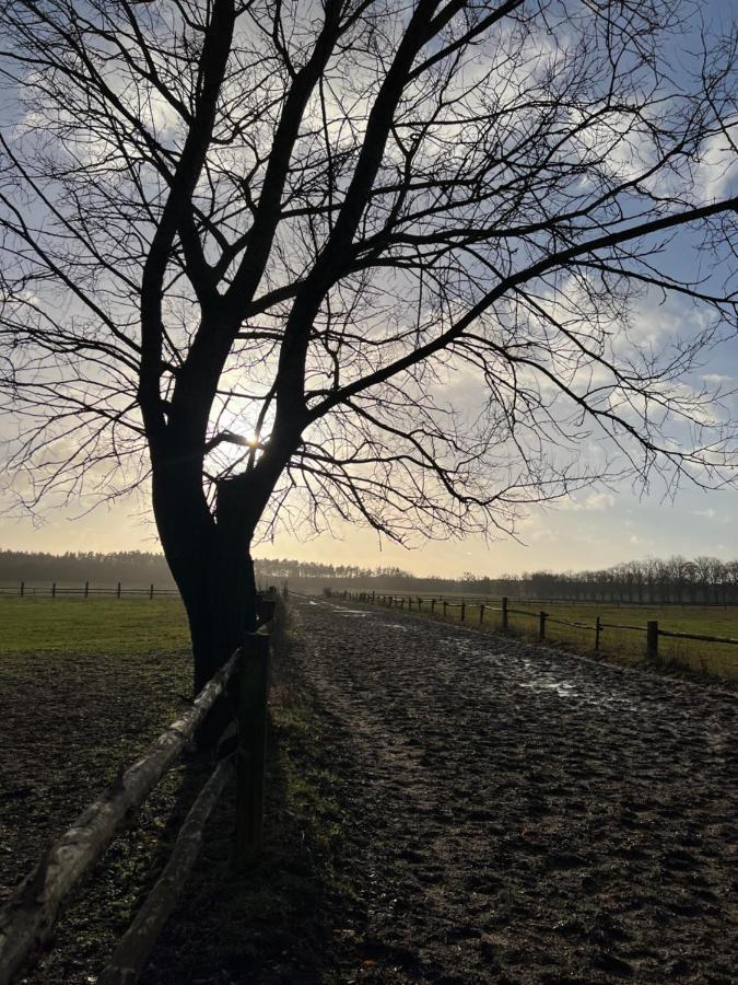 Dworek Bielin Buitenkant foto