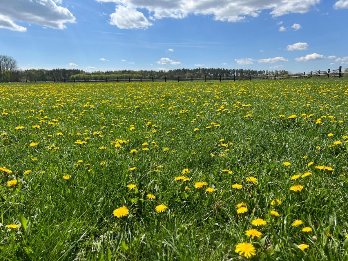 Dworek Bielin Buitenkant foto