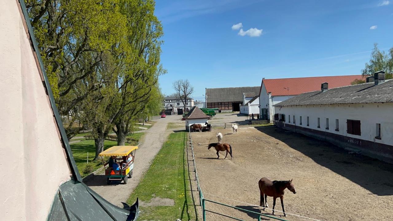 Dworek Bielin Buitenkant foto