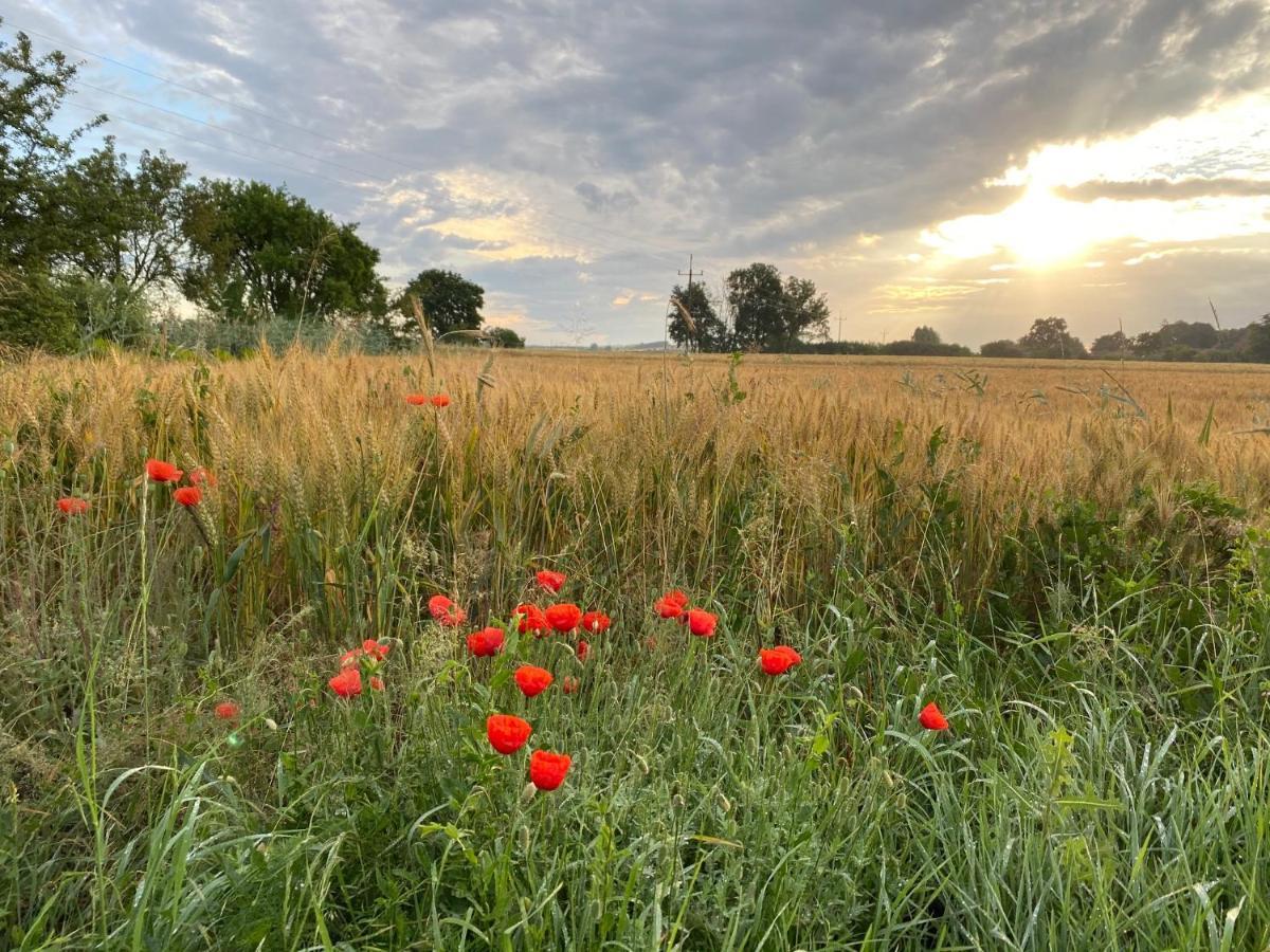 Dworek Bielin Buitenkant foto