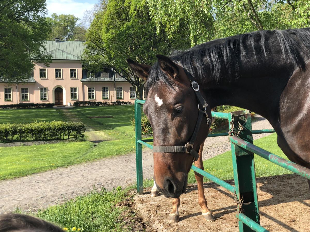 Dworek Bielin Buitenkant foto